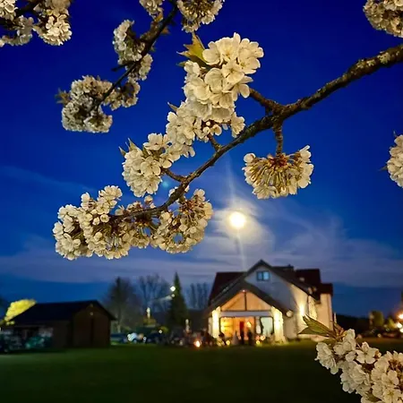 Alloggio per agriturismo Wierzbowy Zakatek Krokowa