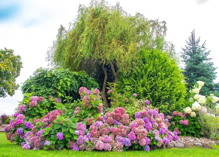 Κατάλυμα σε φάρμα Wierzbowy Zakatek *