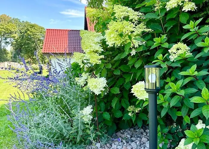 Wierzbowy Zakatek Κατάλυμα σε φάρμα